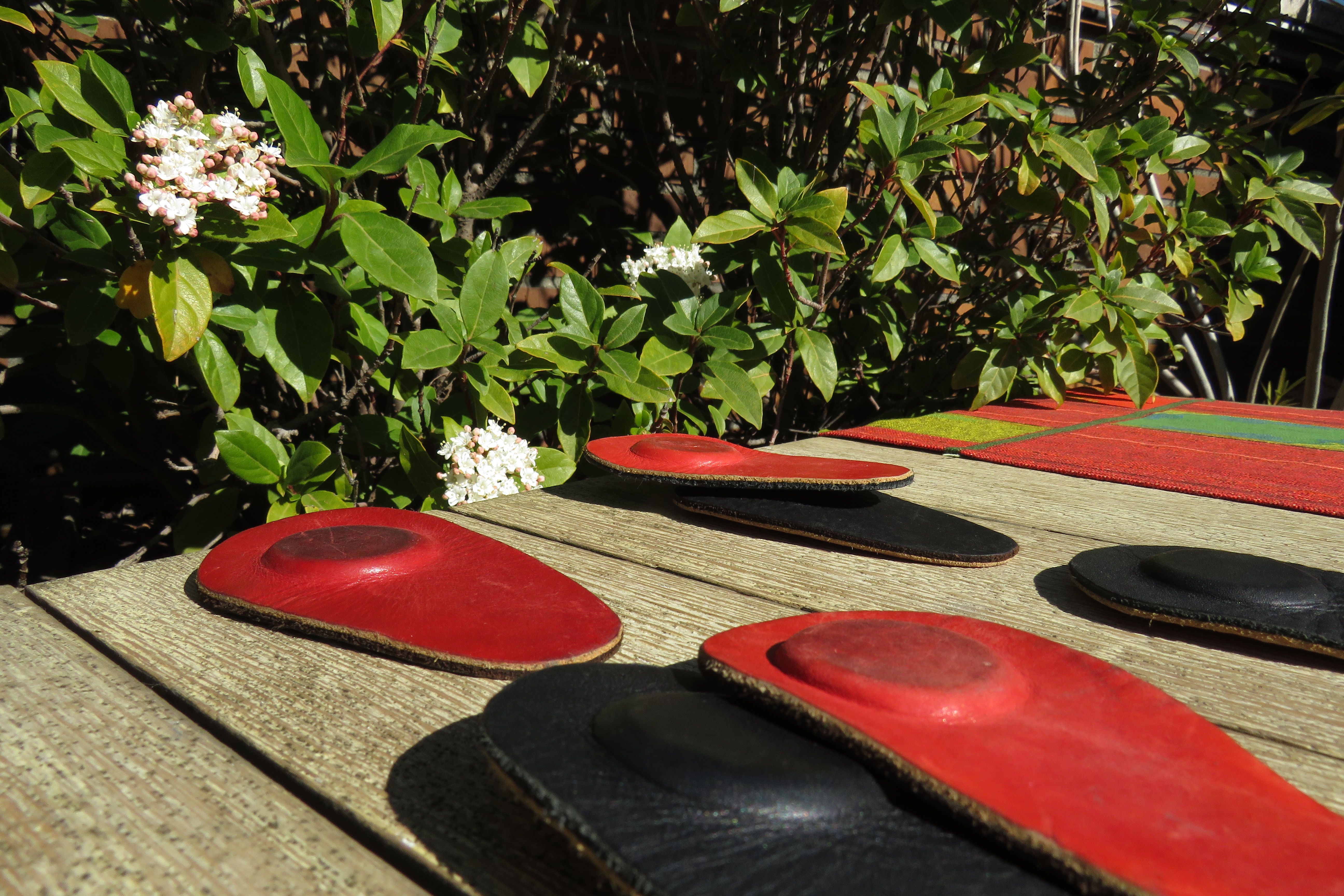 Par biomagnético para Helicobacter Pylori